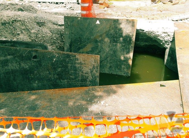 yadira_blog_water_florida_rick_scott_contaminacion_everglades_algae_escobar_fotos_videos_medley_miami